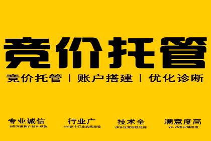 某电商企业如何利用百度搜索推广提升销售额